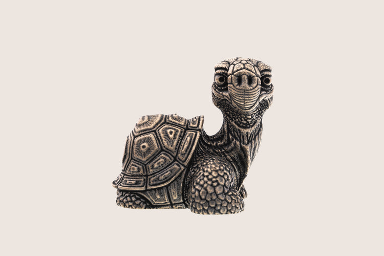 Turtle Bronze Figure